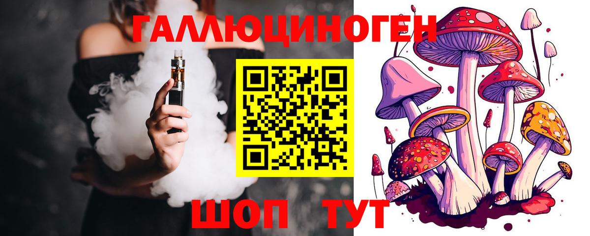Галлюциногенные грибы Cubensis Гатчина